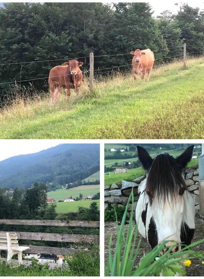 Ferienhaus Am Traunsee Mit Bergsicht 트라운키르헨 외부 사진